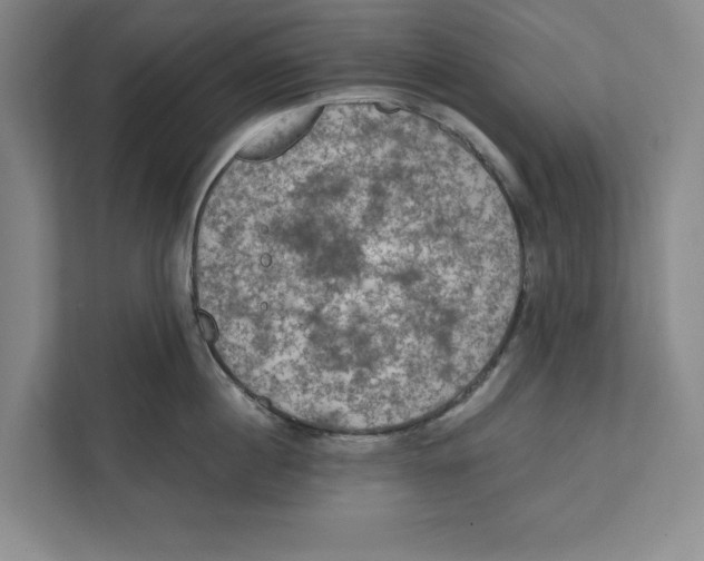 X0000112350860200909101042