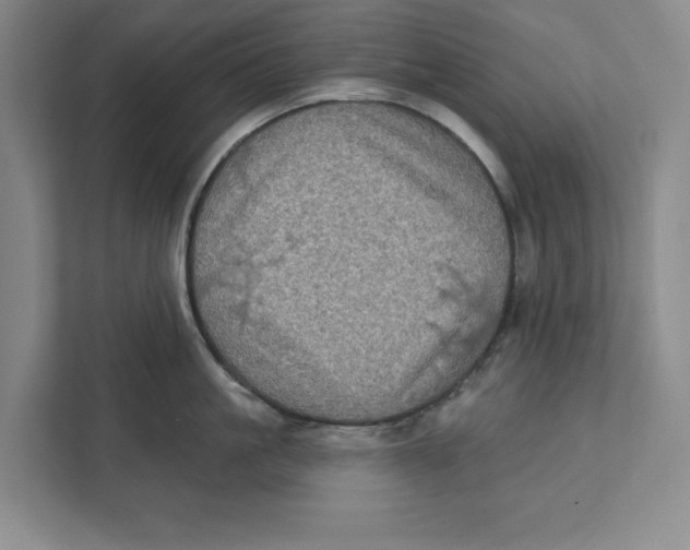 X0000112350861200909101042