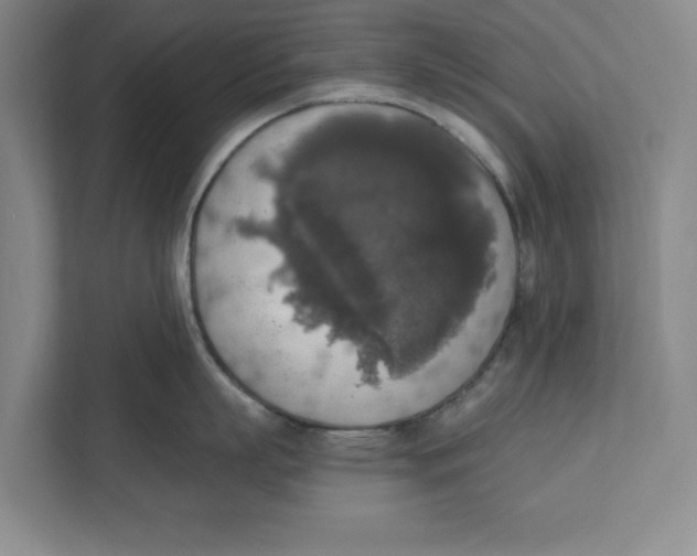 X0000112350863200909101042