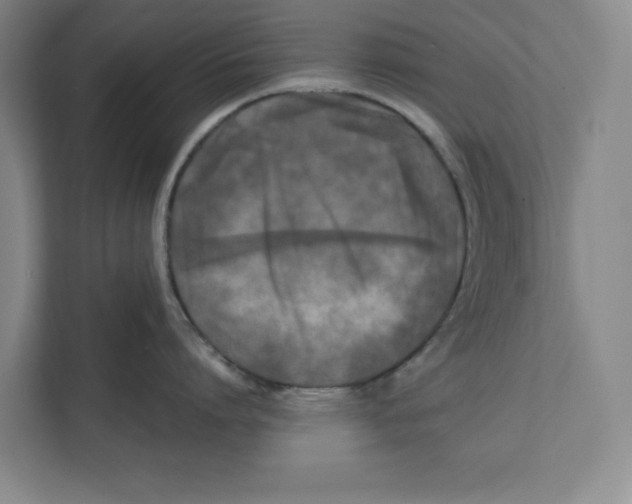 X0000112350864200909101042