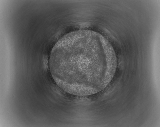 X0000112350866200909101041