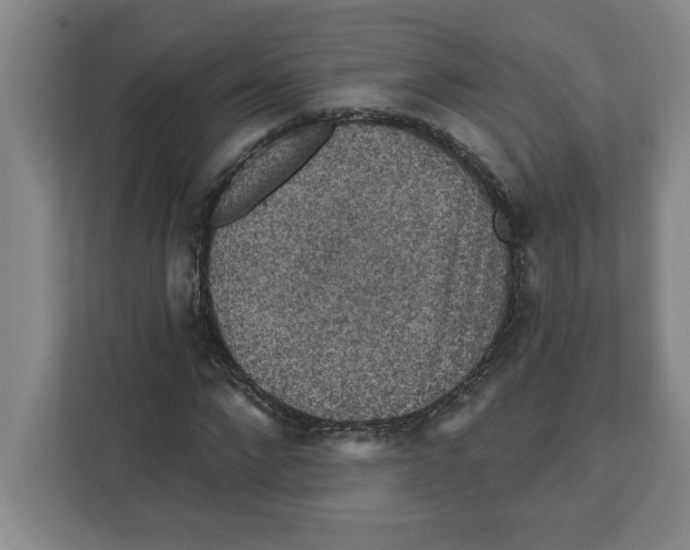 X0000112350872200909101041