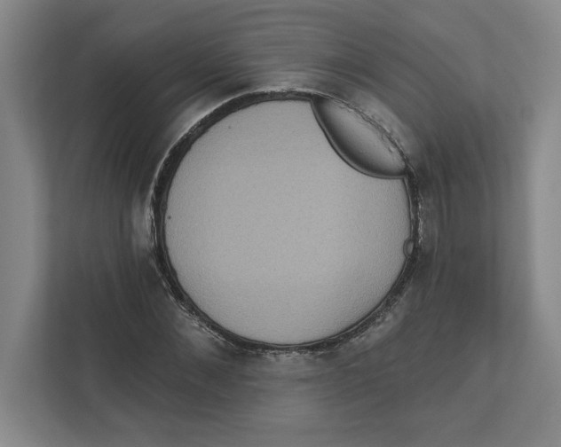 X0000112350876200909101041