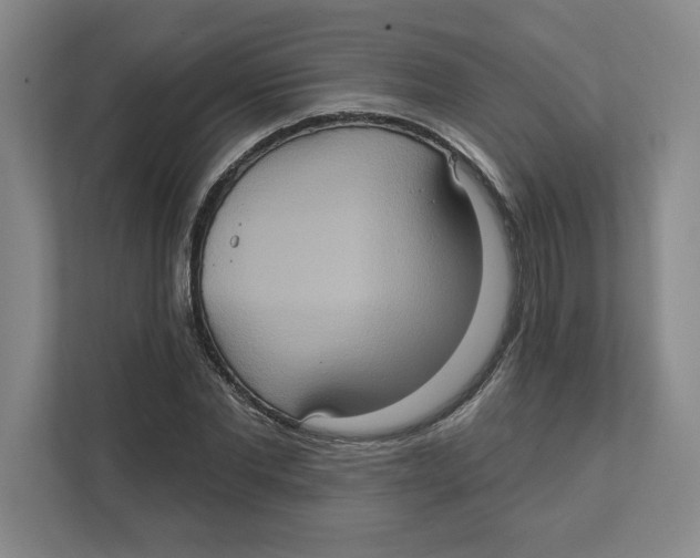 X0000112350877200909101041