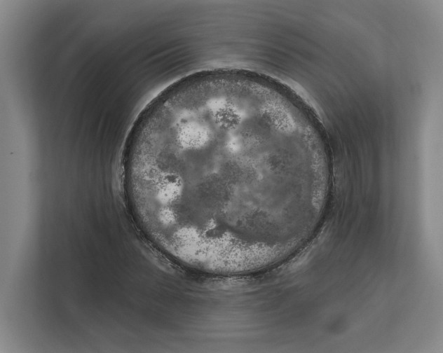 X0000112350879200909101041