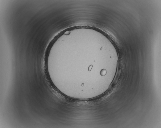 X0000112350880200909101041