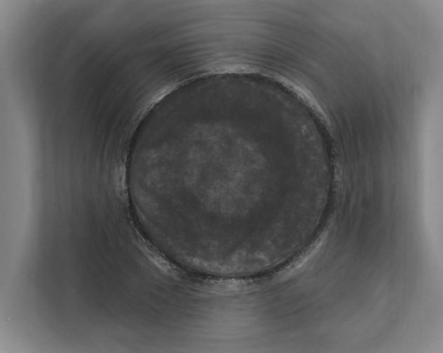 X0000112350881200909101041