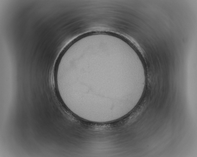 X0000112350887200909101041