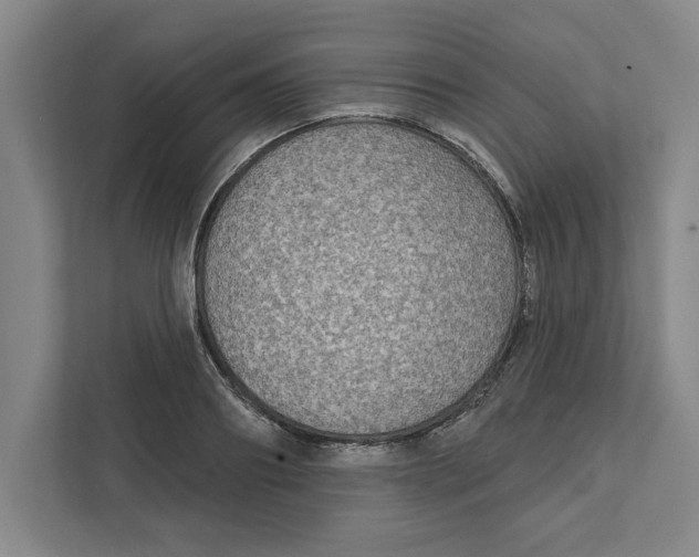 X0000112350890200909101041