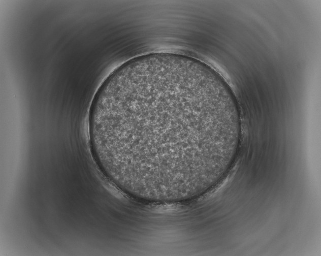 X0000112350891200909101041