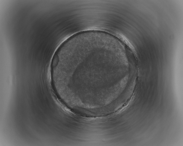 X0000112350892200909101041