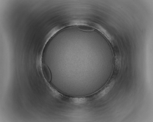 X0000112350893200909101041