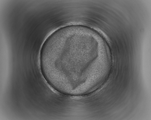 X0000112350894200909101041