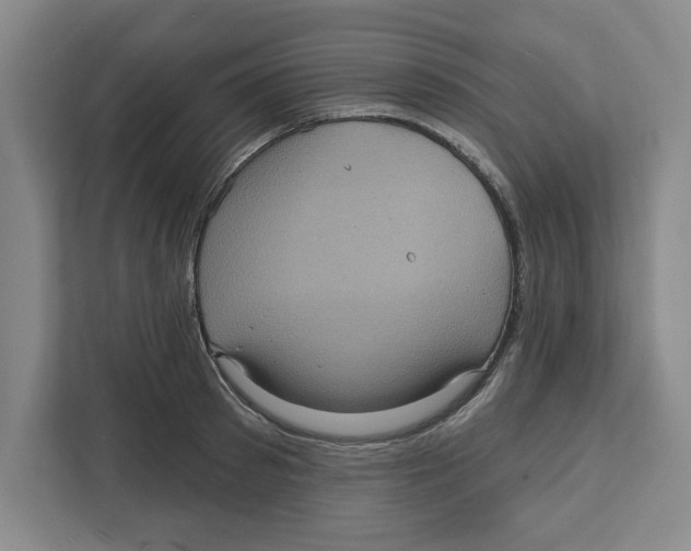 X0000112350897200909101041