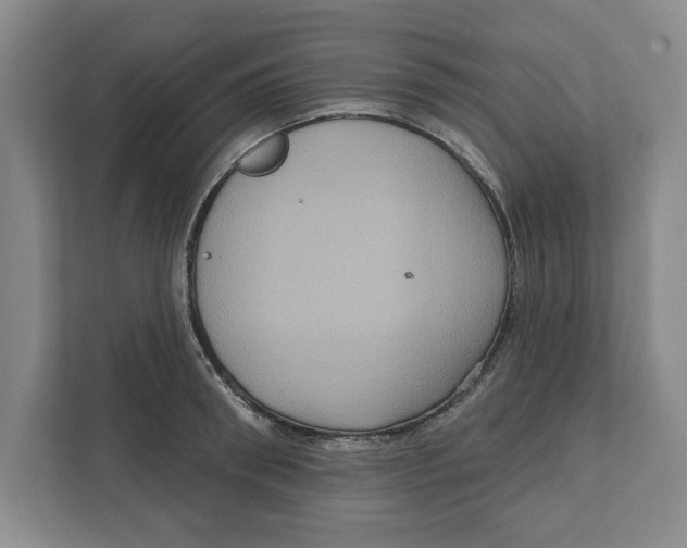 X0000112350898200909101041