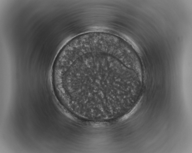 X0000112350899200909101041