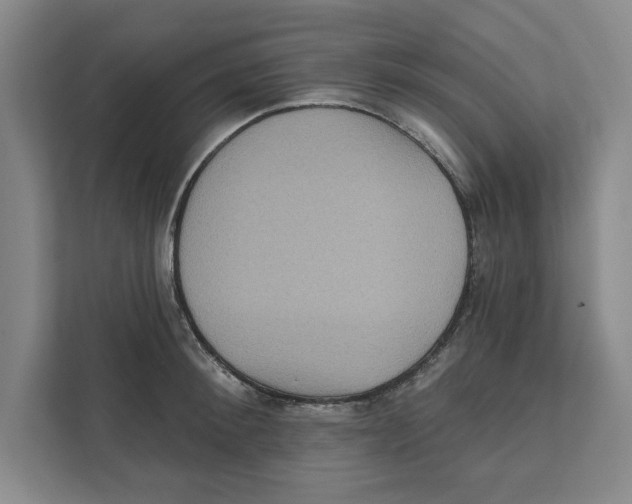 X0000112350900200909101041