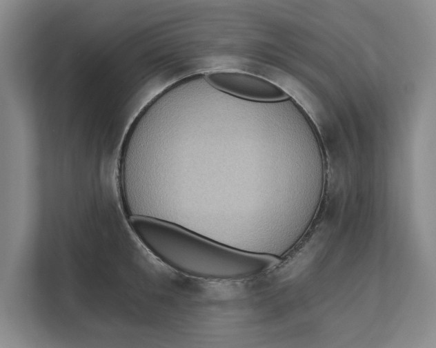 X0000112350901200909101041