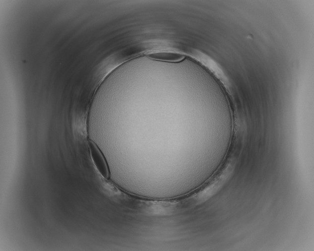 X0000112350905200909101041