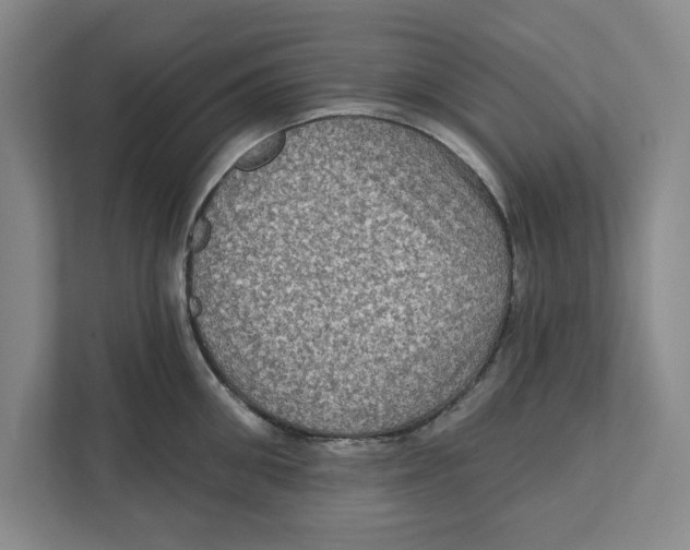 X0000112350906200909101041