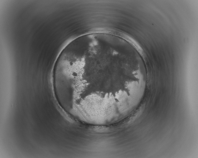 X0000112350907200909101041