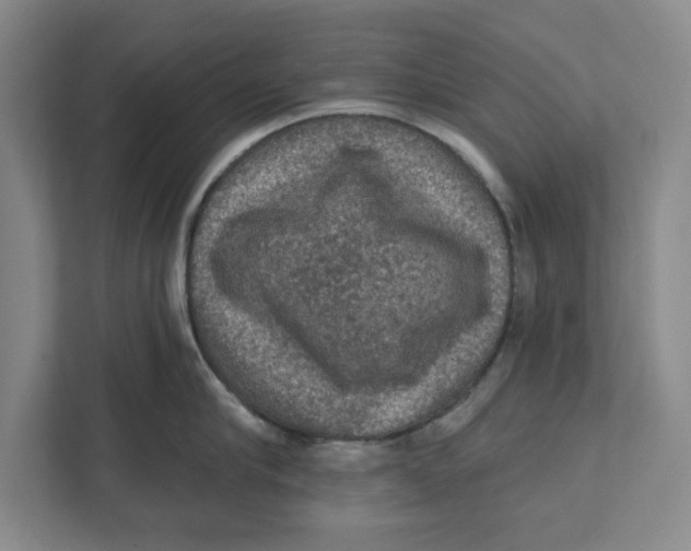 X0000112350910200909101041