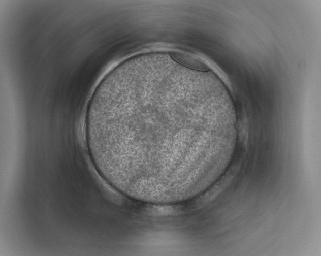 X0000112350911200909101040