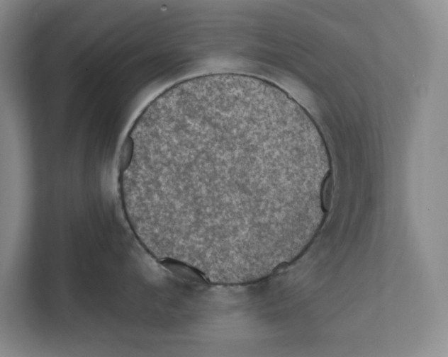 X0000112350912200909101040