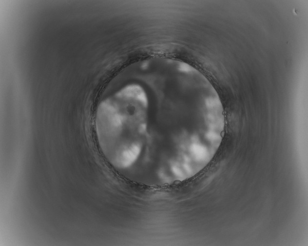 X0000112350913200909101040