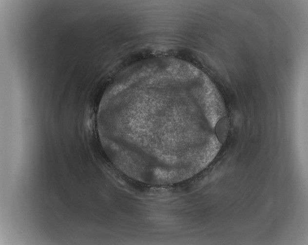 X0000112350914200909101040