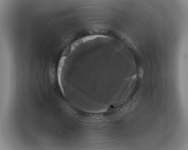 X0000112350915200909101040