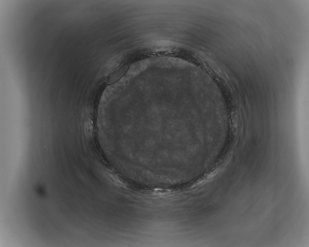 X0000112350916200909101040