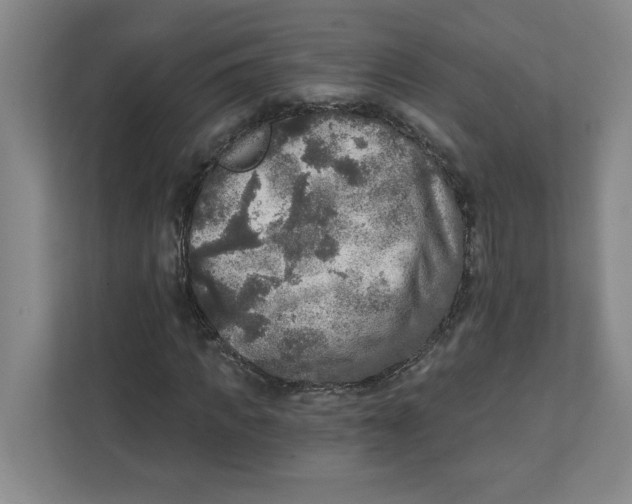 X0000112350917200909101040