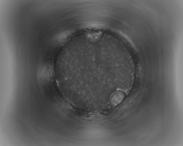 X0000112350918200909101040