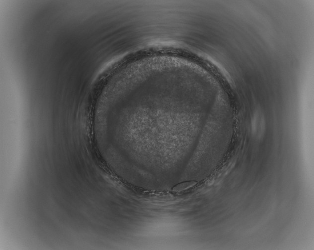 X0000112350919200909101040