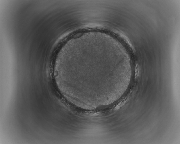 X0000112350920200909101040