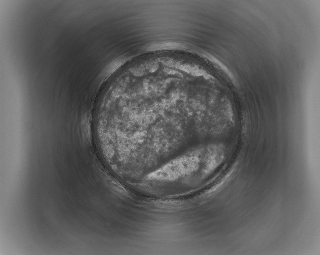 X0000112350921200909101040