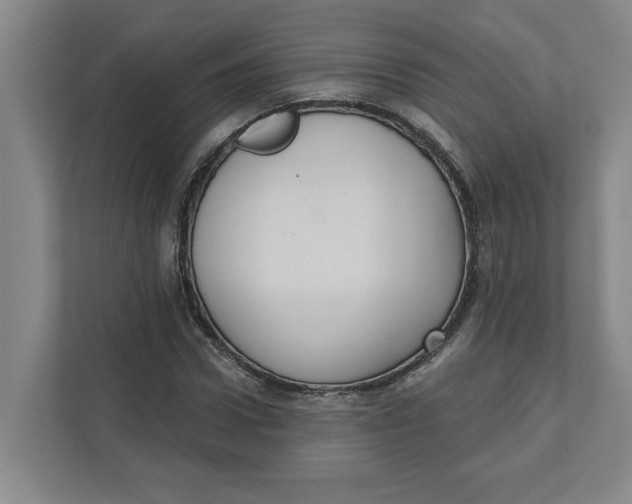 X0000112350922200909101040