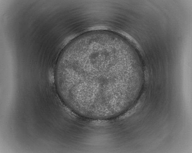 X0000112350929200909101040