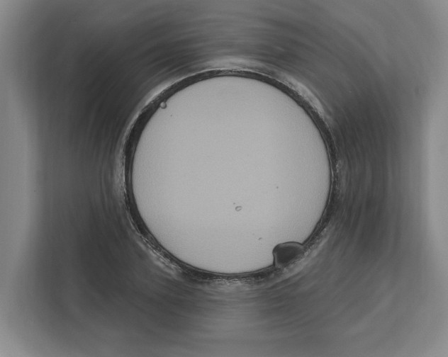 X0000112350931200909101040