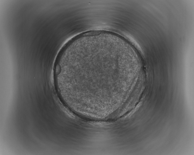 X0000112350932200909101040