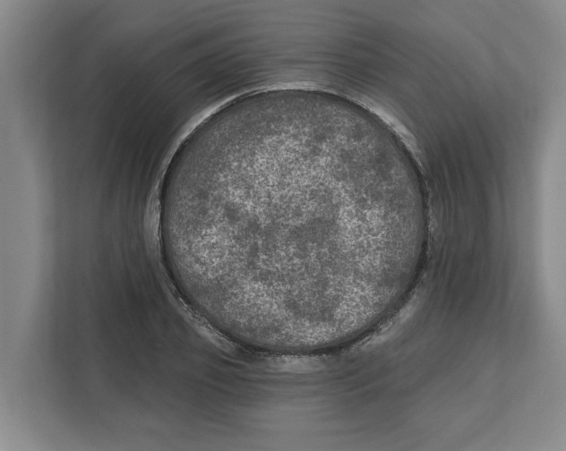 X0000112350933200909101040