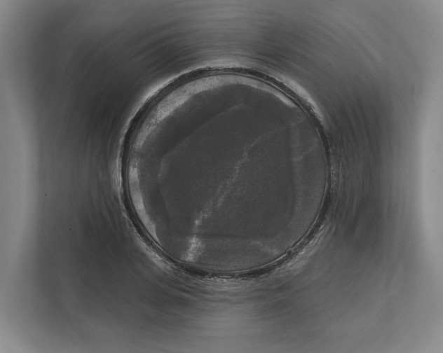 X0000112350935200909101040