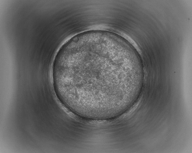 X0000112350939200909101040