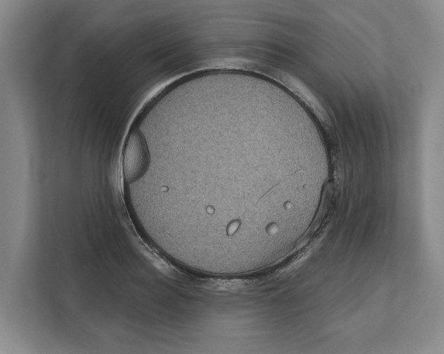 X0000112350940200909101040