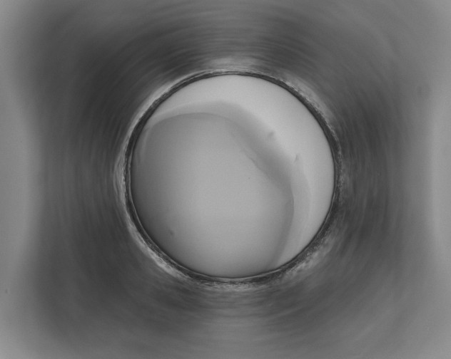 X0000112350941200909101040