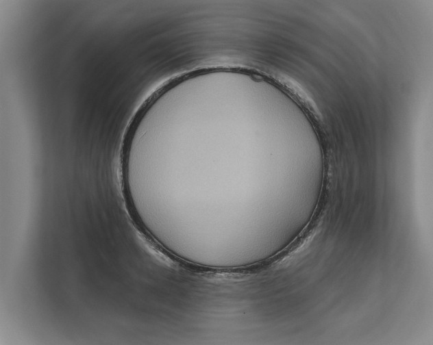 X0000112350942200909101040