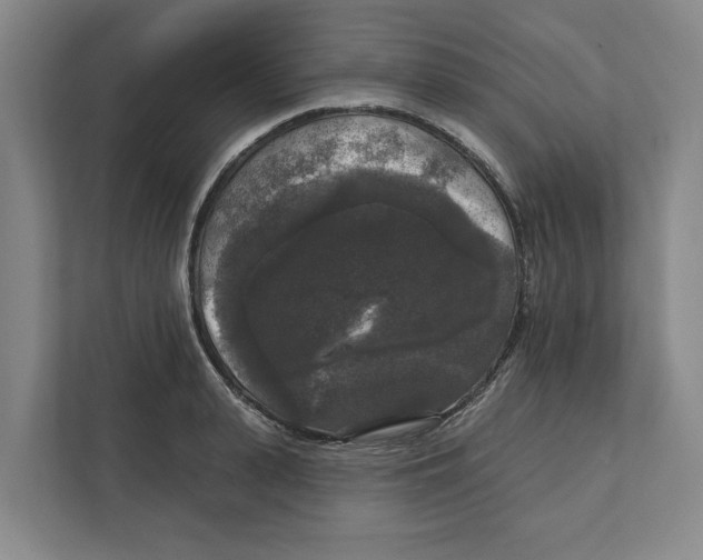 X0000112350943200909101040