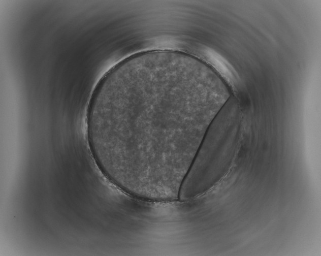 X0000112350944200909101040