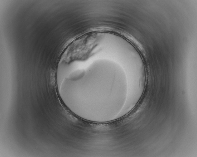 X0000112350945200909101040